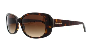 Coach Sunglasses HC8168 L156