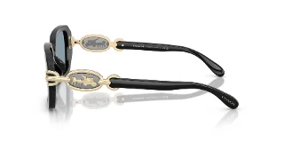 Coach Sunglasses HC8425U