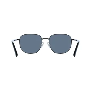 Salvatore Ferragamo Sunglasses SF328S