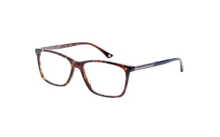 135 Tortoise with Blue