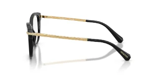 Swarovski Eyeglasses SK2044