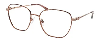 BROWN TORTOISE