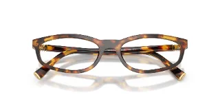 Miu Miu Eyeglasses MU01ZVF