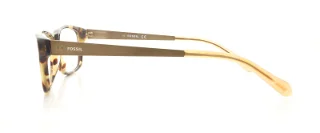 Fossil Eyeglasses SAMMY