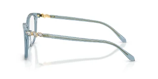 Swarovski Eyeglasses SK2069F