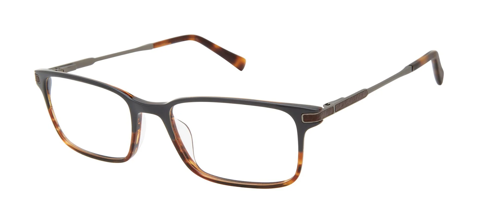 Ted Baker Eyeglasses TFM009