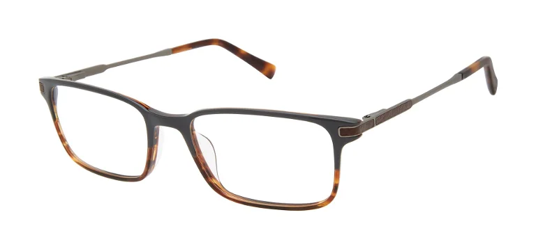 Ted Baker Eyeglasses TFM009