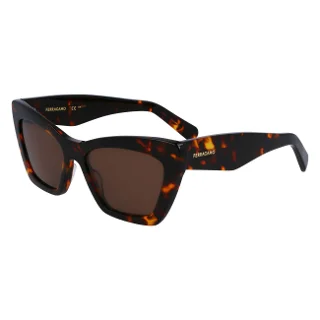 242 Dark Tortoise