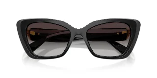 Swarovski Sunglasses SK6047