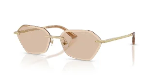 300693 Pale Gold