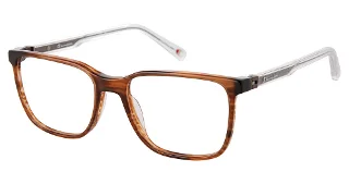 C02 Brown Horn