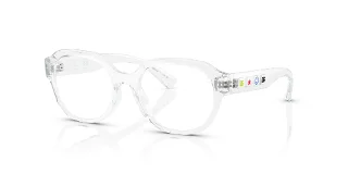 Dolce & Gabbana Eyeglasses DX5004U