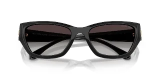 Michael Kors Sunglasses MK2242D