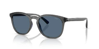 579980 Shiny Transparent Grey