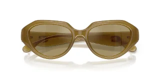 Coach Sunglasses HC8433U