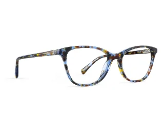 C2 Blue Tortoise