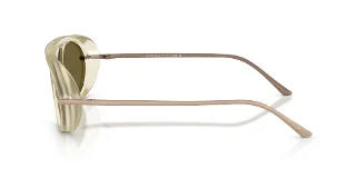 Giorgio Armani Sunglasses AR8256