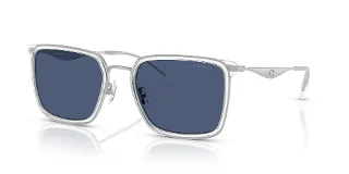945580 Silver/Transparent Clear