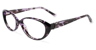 Purple Tortoise