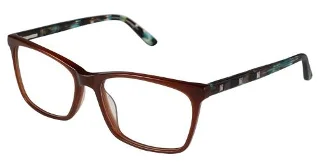 C02 Brown Tortoise