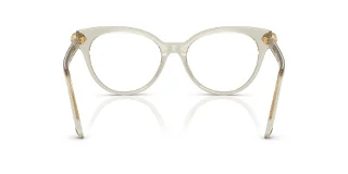 Swarovski Eyeglasses SK2046
