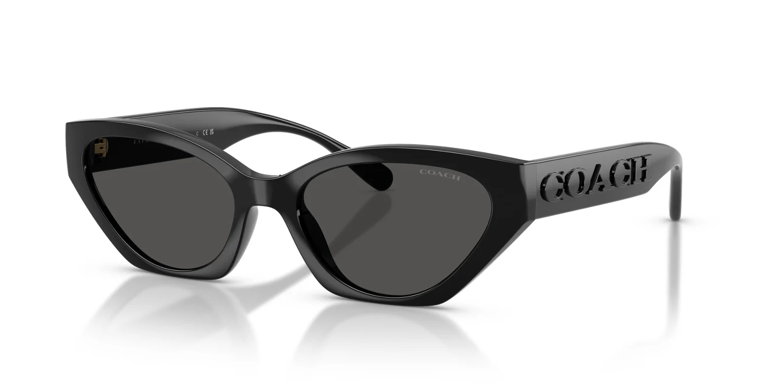 Coach Sunglasses HC8459U