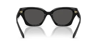 Coach Sunglasses HC8418U