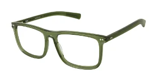 C50 FOREST