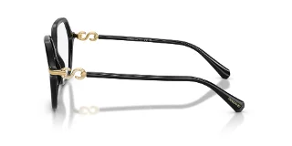 Swarovski Eyeglasses SK2075