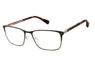 Ted Baker Eyeglasses TLM501