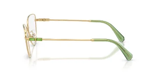 Swarovski Eyeglasses SK1007