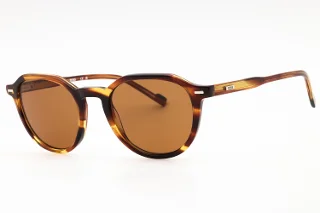 237 Striped Brown