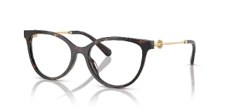 1728 Brown Tortoise