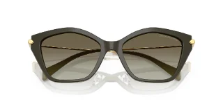 Michael Kors Sunglasses MK2246U