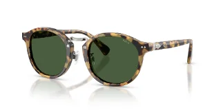 614871 Brown/Yellow Tortoise
