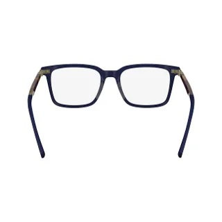 Salvatore Ferragamo Eyeglasses SF2969