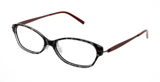 Black Tortoise