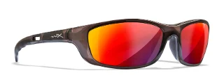 Wiley X Sunglasses P-17