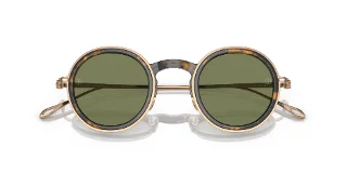 Giorgio Armani Sunglasses AR6147T