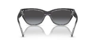Coach Sunglasses HC8370U