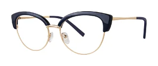 navy/gold