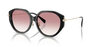 Michael Kors Sunglasses MK2248D