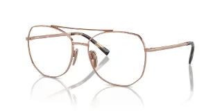 Prada Eyeglasses PRA58V