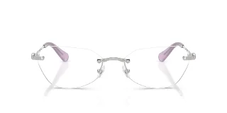 Swarovski Eyeglasses SK1031