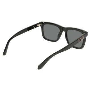 Salvatore Ferragamo Sunglasses SF2113S