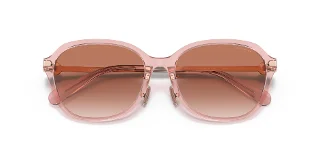 Coach Sunglasses HC8332D