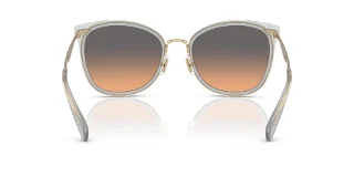 Coach Sunglasses HC7170