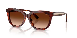 593874 Walnut Tortoise