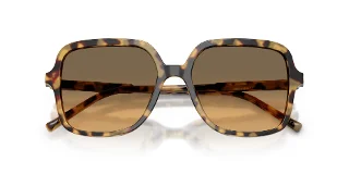 Dolce & Gabbana Sunglasses DG4539