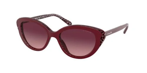 Coach Sunglasses HC8288